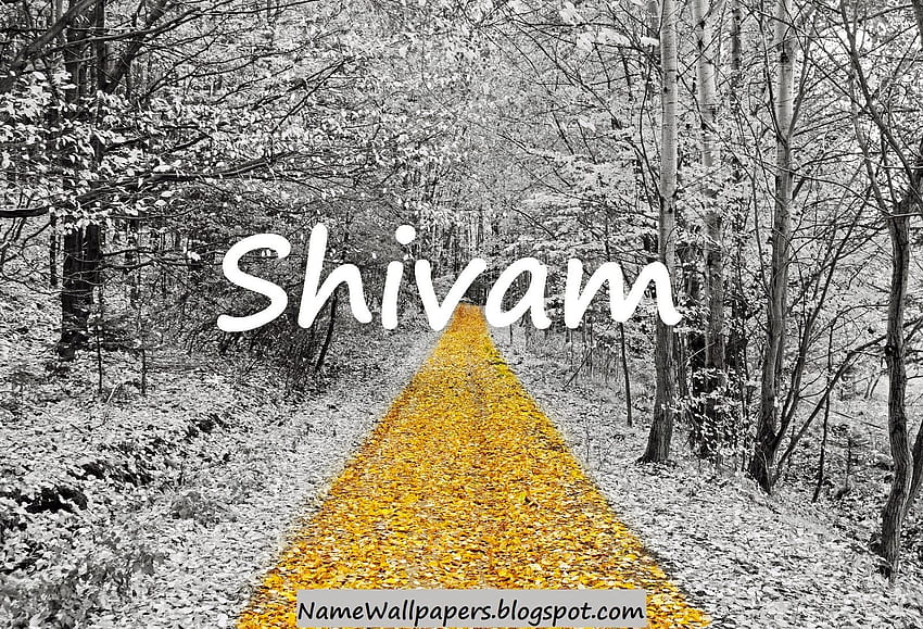 Shivam Name Shivam Name Urdu Name Meaning HD wallpaper | Pxfuel