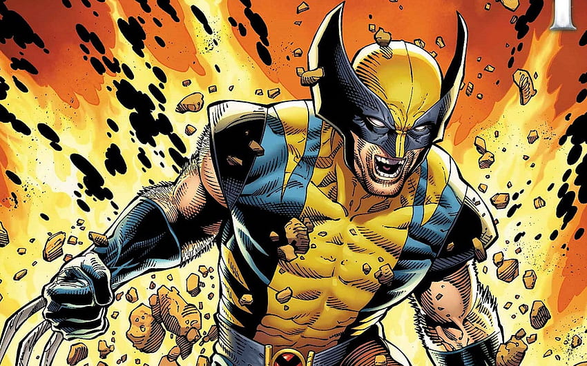 Marvel Comics Wolverine , Comic Book HD wallpaper