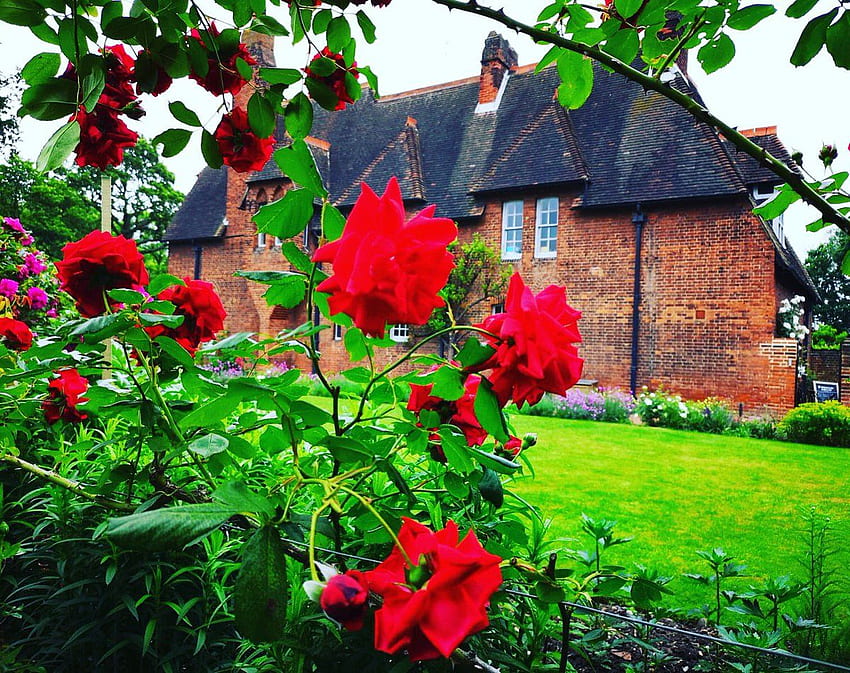 Червена къща – Една от първите „перголи“ на Уилям Морис е проектирана тук в Red House и е вдъхновена от розите в градината HD тапет