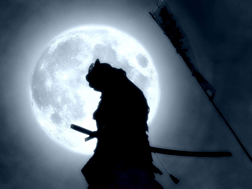 Samurai and Background, Best Samurai HD wallpaper