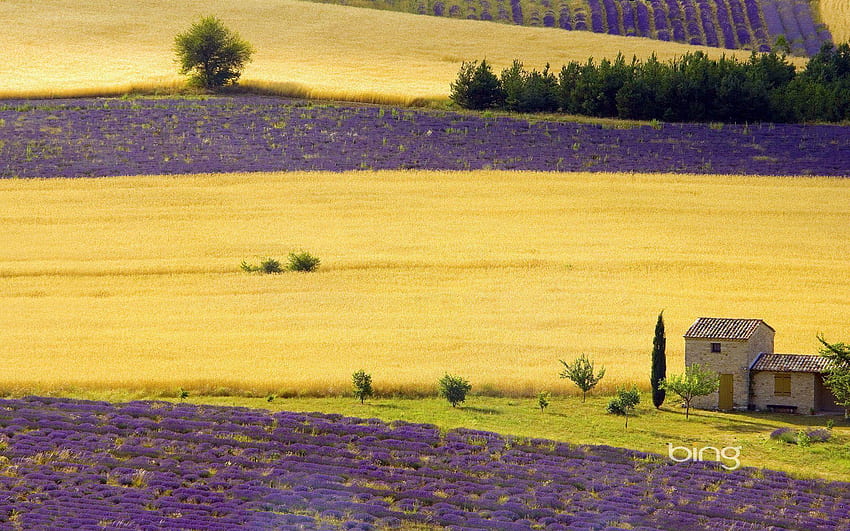 Provence HD wallpaper