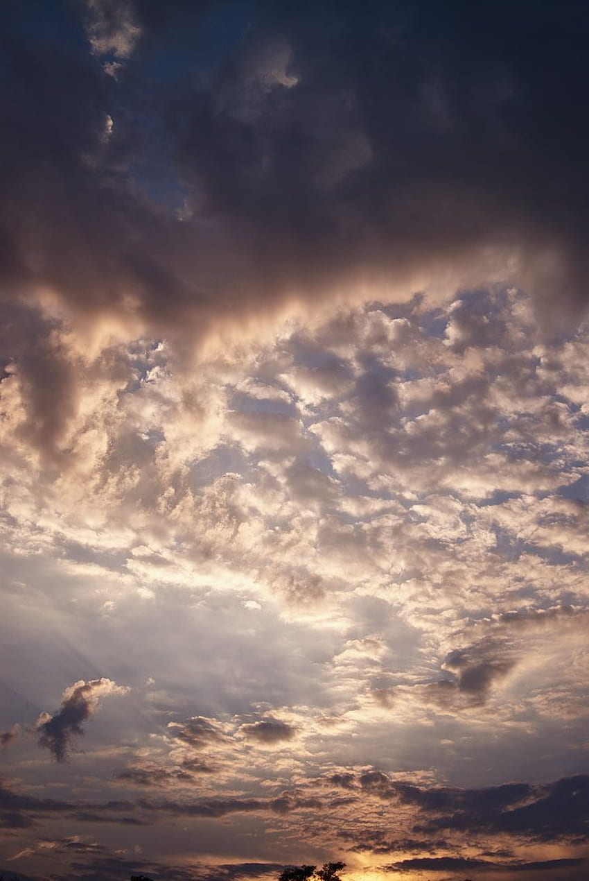 : clouds, evening, cloudy, sky, sunset, cloud - sky, cloudscape HD phone wallpaper