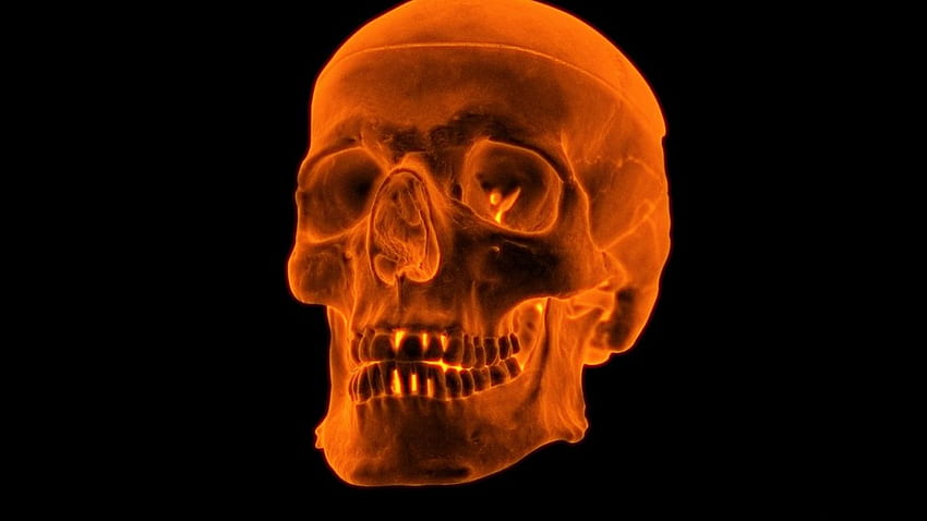 3D Fire Skull [] for your , Mobile & Tablet. Explore Fire Skull . Skulls , Live Skull for PC, Blue Fire Skull, Orange Skull HD wallpaper