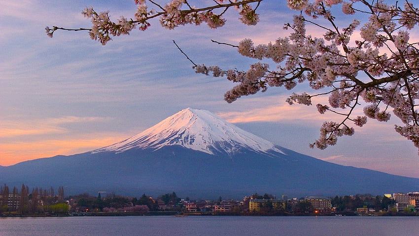 Cherry blossom japanese castle in mount Fuji Ultra , Mount Fuji Cherry ...