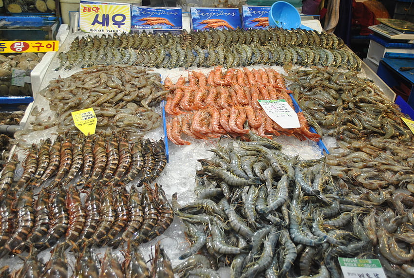 : Seafood in Fishmarket - Fish, Food, Market - - Jooinn, Fish Market HD wallpaper