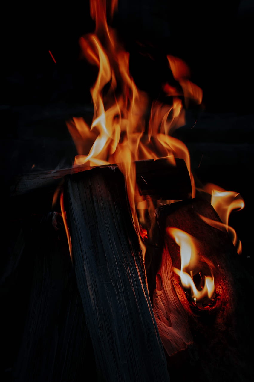 Fire, Bonfire, Dark, Flame, Firewood HD phone wallpaper