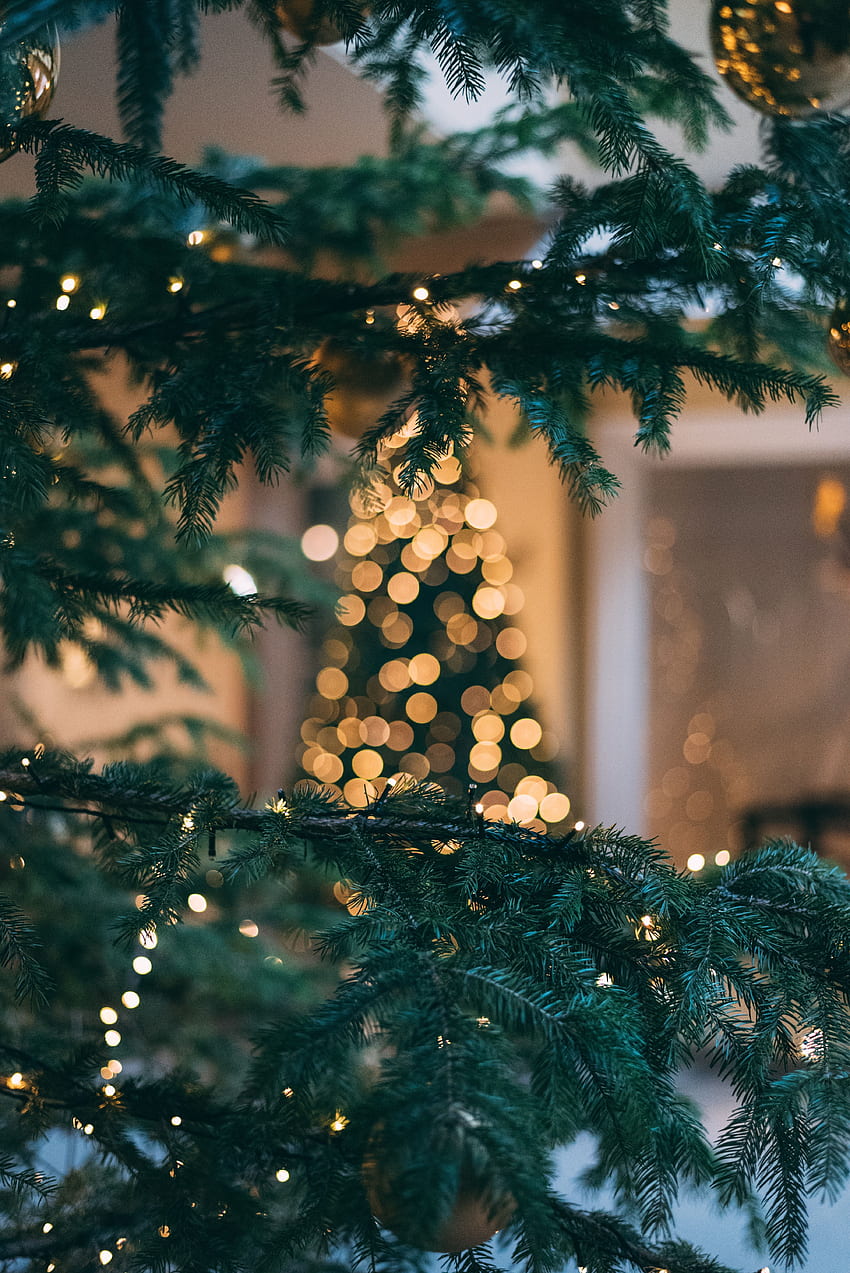 휴일, 새해, 섬광, 크리스마스, 분기, 전나무, 가문비, 크리스마스 트리, Bokeh, Boquet HD 전화 배경 화면