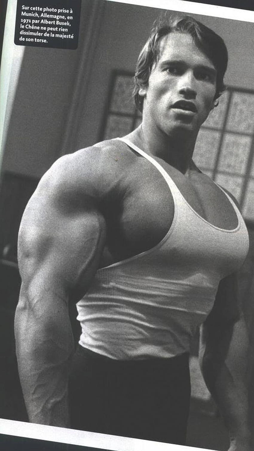 การฝึกอบรม Arnold Schwarzenegger สำหรับ iPhone เพาะกาย Arnold Schwarzenegger วอลล์เปเปอร์โทรศัพท์ HD