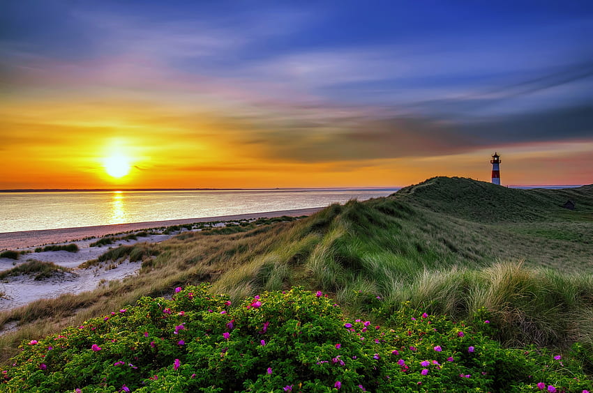 Sunrise Sylt, sea, lighthouse, coast, beautiful, grass, sunrise, beach, wildflowers, shore, reflection, sky, amazing, sun HD wallpaper