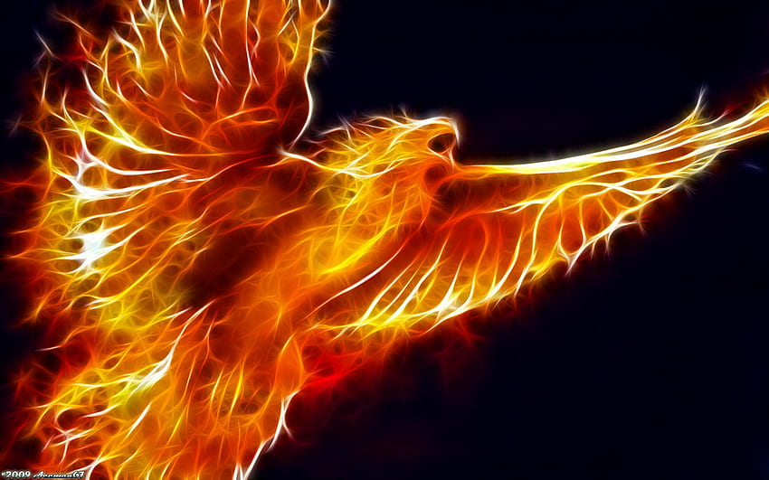 Phoenix – Leitfaden für Fabelwesen, mythischer Phönix HD-Hintergrundbild