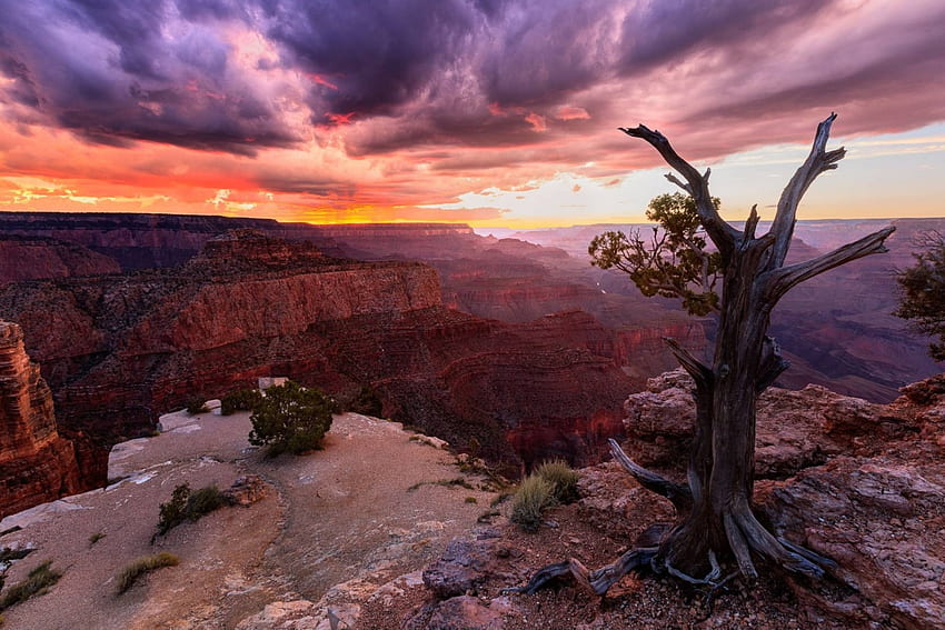 Matahari terbenam Grand Canyon, kesenangan, Grand Canyon, gurun, sejuk, alam, matahari terbenam Wallpaper HD