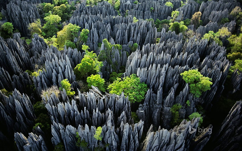 Tsingy de Bemaraha National Park, Madagascar. Binging, Madagascar Landscape HD wallpaper