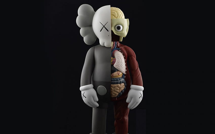 Background Kaws Wallpaper Discover more American Artist Brian Donnelly  Character Designer wallpape  Kaws wallpaper Kaws iphone wallpaper  Hypebeast wallpaper
