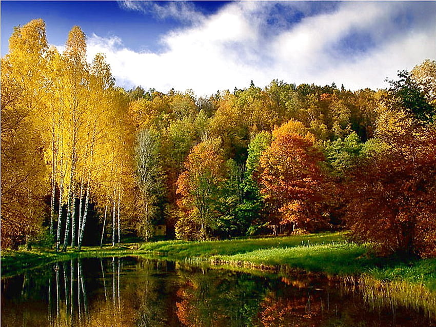 Reflections of the season, color, gold, orange, reflections, lake, green, yellow, trees, autumn, cloudy sky HD wallpaper