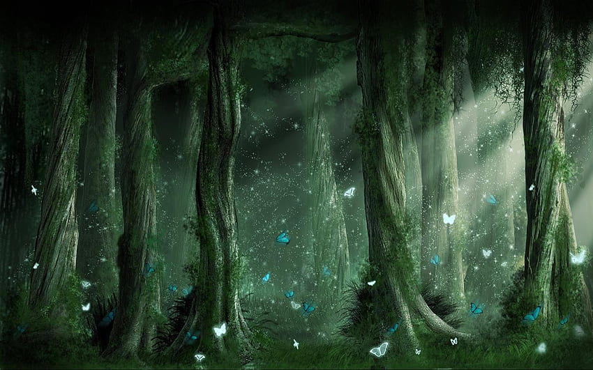 resultado para a floresta de fadas. arte de inspiração de livro de fadas, Fairy Grunge papel de parede HD