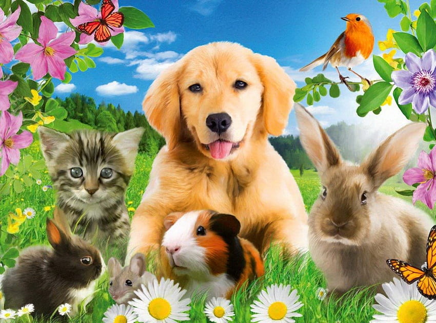 Friends, kitten, birds, kitty, dogs, puppies, spring, daisies, nice, butterflies, day, bright, greenery, rabbit, art, paradise, cat, beautiful, grass, beautifulm, bunny, summer, pretty, field, freshness, clouds, nature, sky, flowers, lovely HD wallpaper