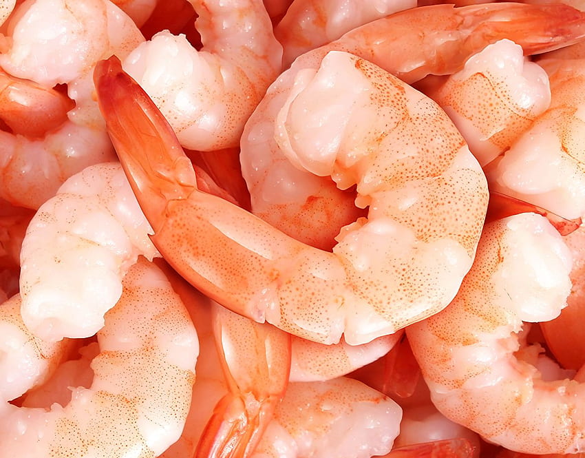 Caridea Food Closeup Seafoods, Shrimp HD wallpaper