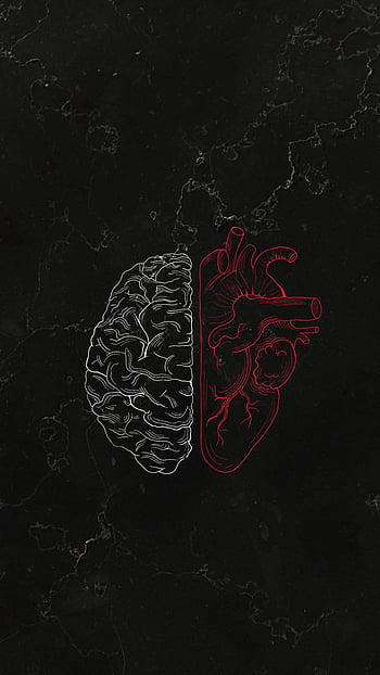 Não trái tim iPhone: Tại sao phải phân vân giữa trái tim và não bộ khi bạn có thể sở hữu cả hai trong chiếc iPhone của mình? Chỉ cần một cái nhìn vào hình nền \