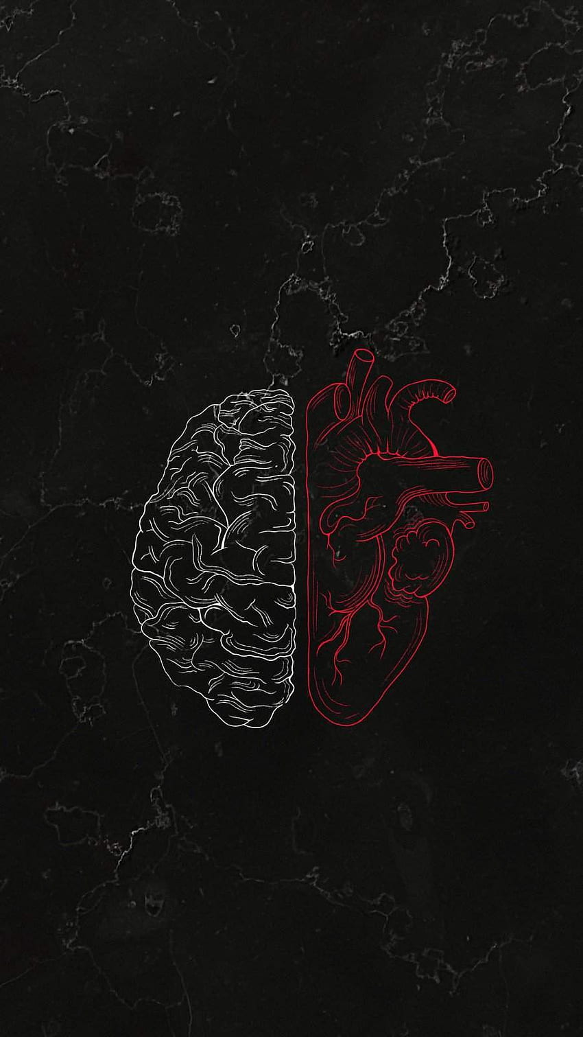 Gehirn gegen Herz IPhone - IPhone : iPhone HD-Handy-Hintergrundbild
