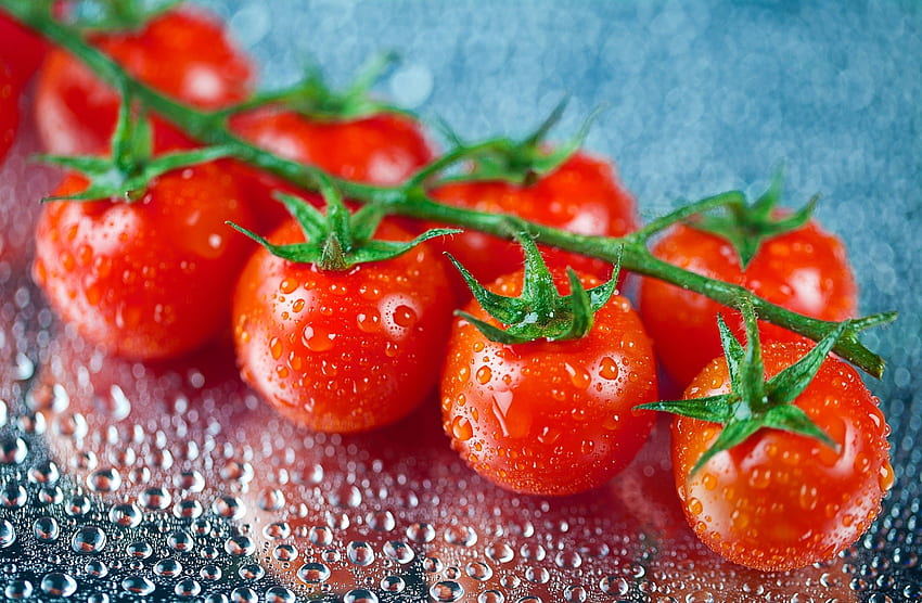 Tomaten-Hintergrund. Frische Kirschen HD-Hintergrundbild