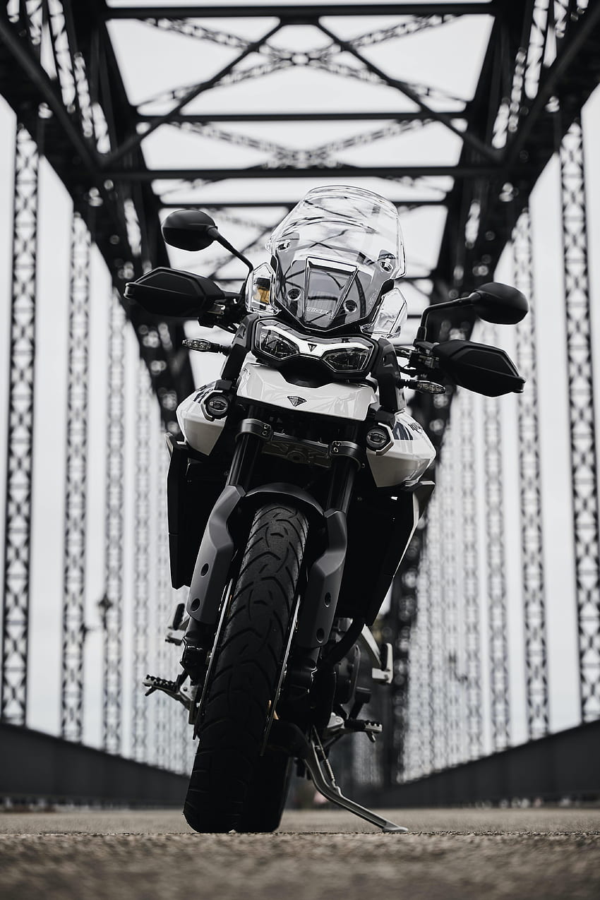 Motocicletas, Vista Frontal, Motocicleta, Bicicleta, Triumph, Triumph Tiger 900 fondo de pantalla del teléfono