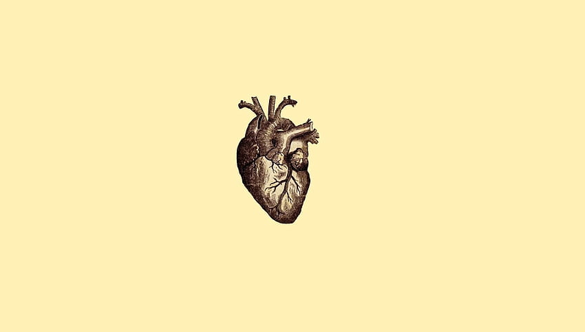 人間の心臓のイラスト デジタル アート 高画質の壁紙