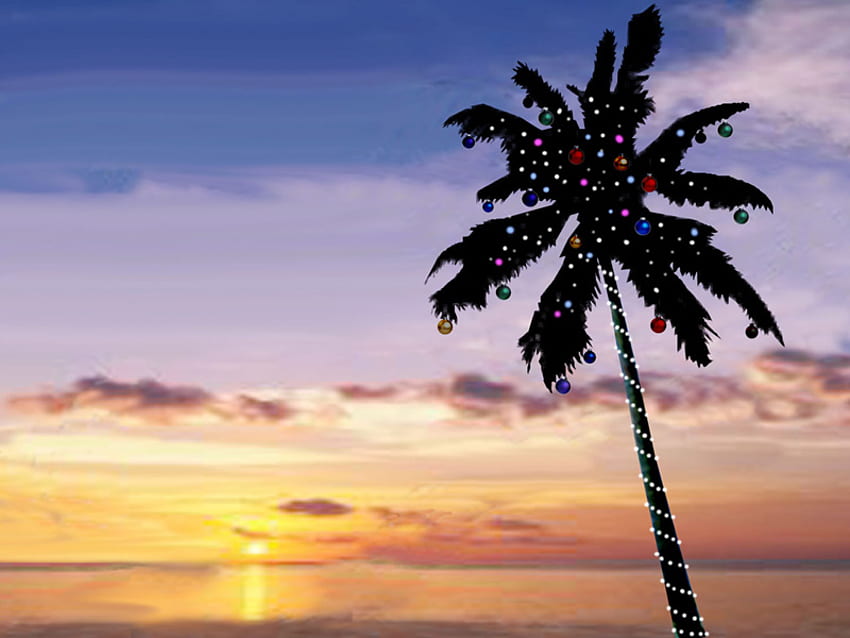 Tropical christmas, holiday, palm, christmas, sky, sunset, beach HD wallpaper