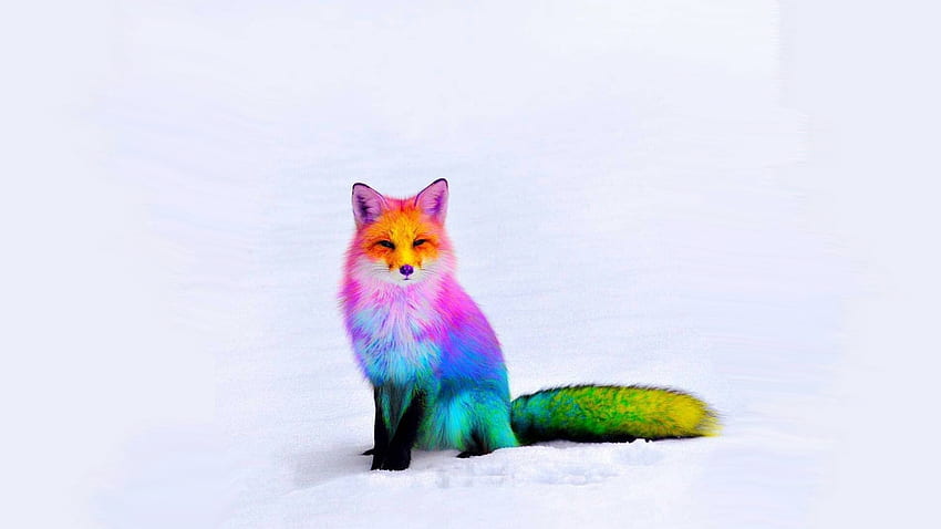 Rainbow Fox, colors, Firefox, rainbow, fox, painted HD wallpaper