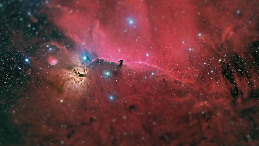 Hubble - Small Horse Head Nebula HD wallpaper