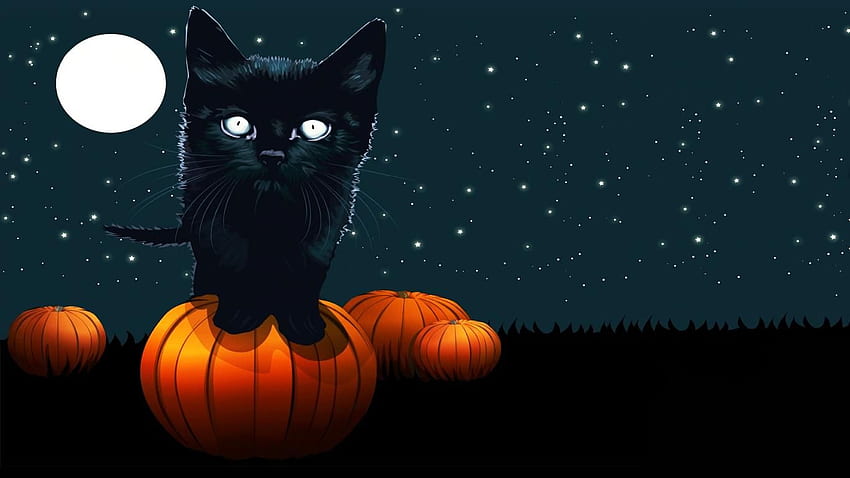 Cute Black Cat Halloween Wallpapers  Top Free Cute Black Cat Halloween  Backgrounds  WallpaperAccess