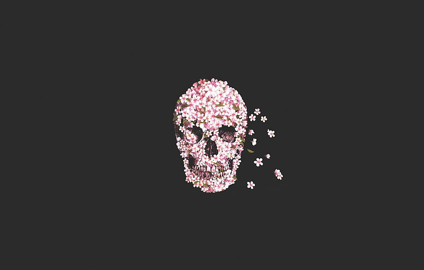 flowers, skull, sake, flower for , section Ð¼Ð¸Ð½Ð¸Ð¼Ð°Ð»Ð¸Ð·Ð¼, Flower Skull HD wallpaper