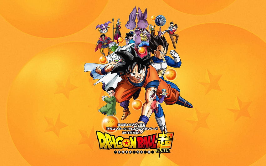 Goku, Piccolo, Beerus, Gohan, Vegeta and Trunks (Dragon Ball) , Goku iPad HD wallpaper