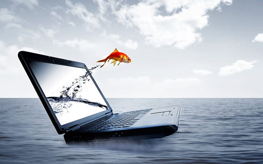 Jumping Fish, poisson rouge, résumé, nuages, ordinateur portable, ciel, orange, eau Fond d'écran HD