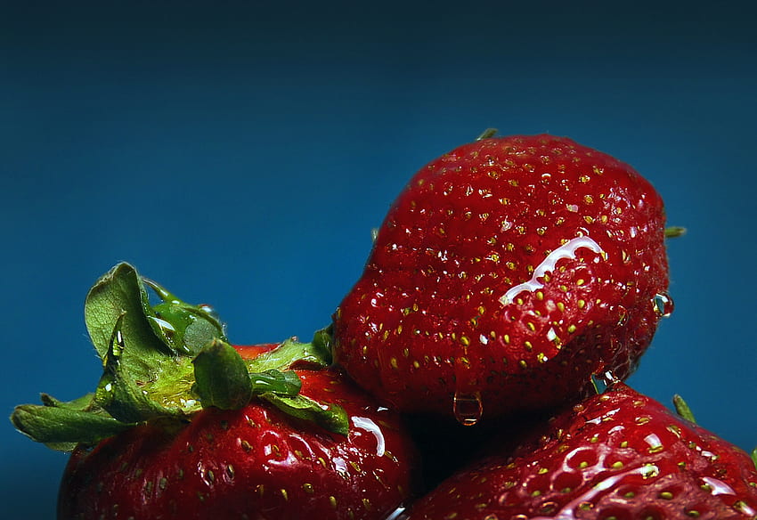 Erdbeere, Beeren, Makro, reif, saftig HD-Hintergrundbild