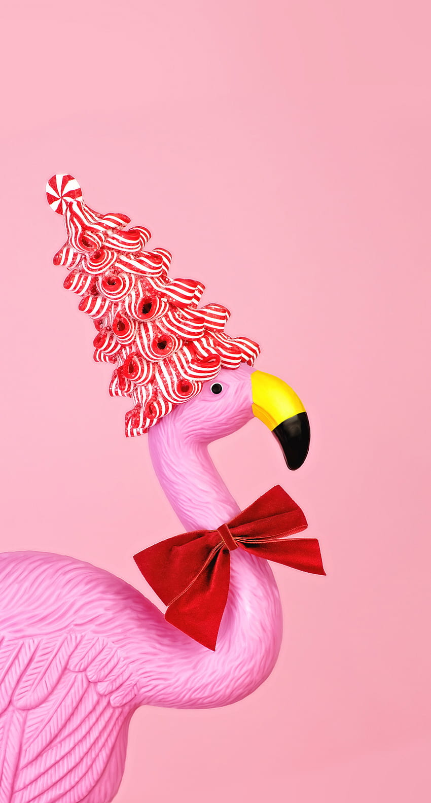 iPhone ⚪️. Pink iphone, iPhone , Flamingo, Christmas Flamingo HD phone wallpaper