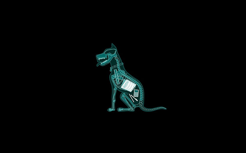 El perro se comió la tarea de matemáticas - 1283709. Animal minimalista, Esqueleto de perro, Gracioso, Anatomía animal fondo de pantalla