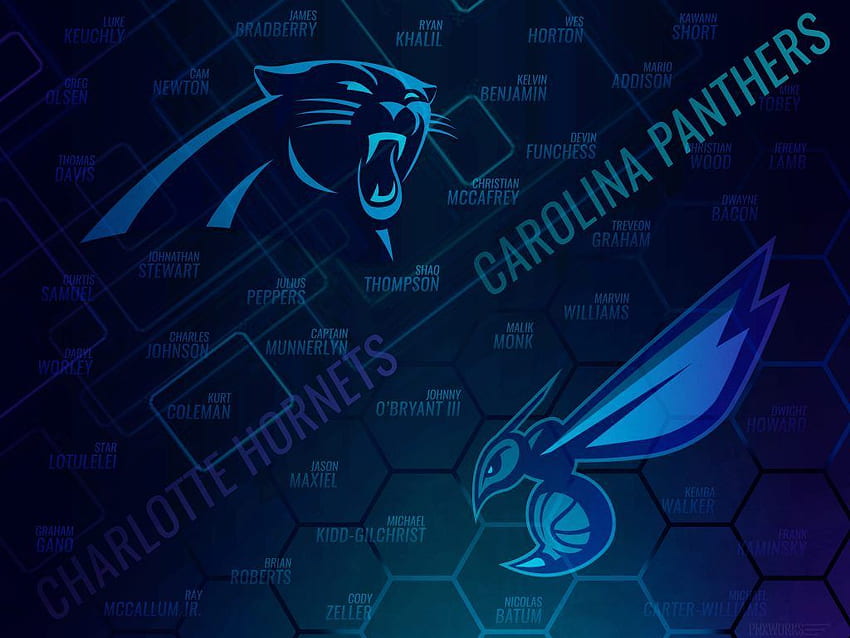 Hornets and Panthers 2017 Roster Poster, North Carolina Panthers HD wallpaper