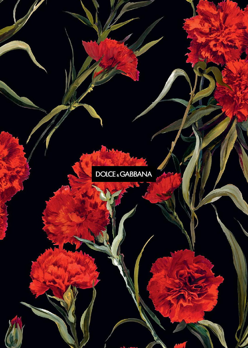 Тапети Dolce Gabbana - - HD тапет за телефон
