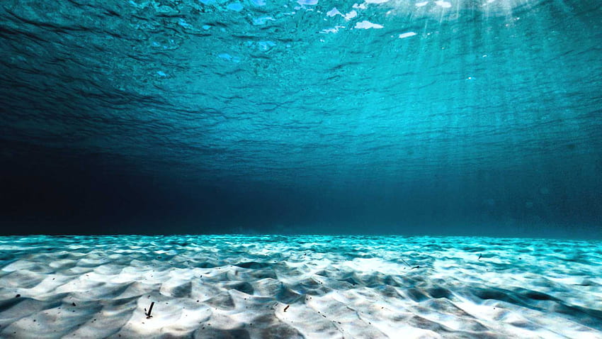 Clear Concept Perspektywy podwodnego dna oceanu Shutterstock Tapeta HD