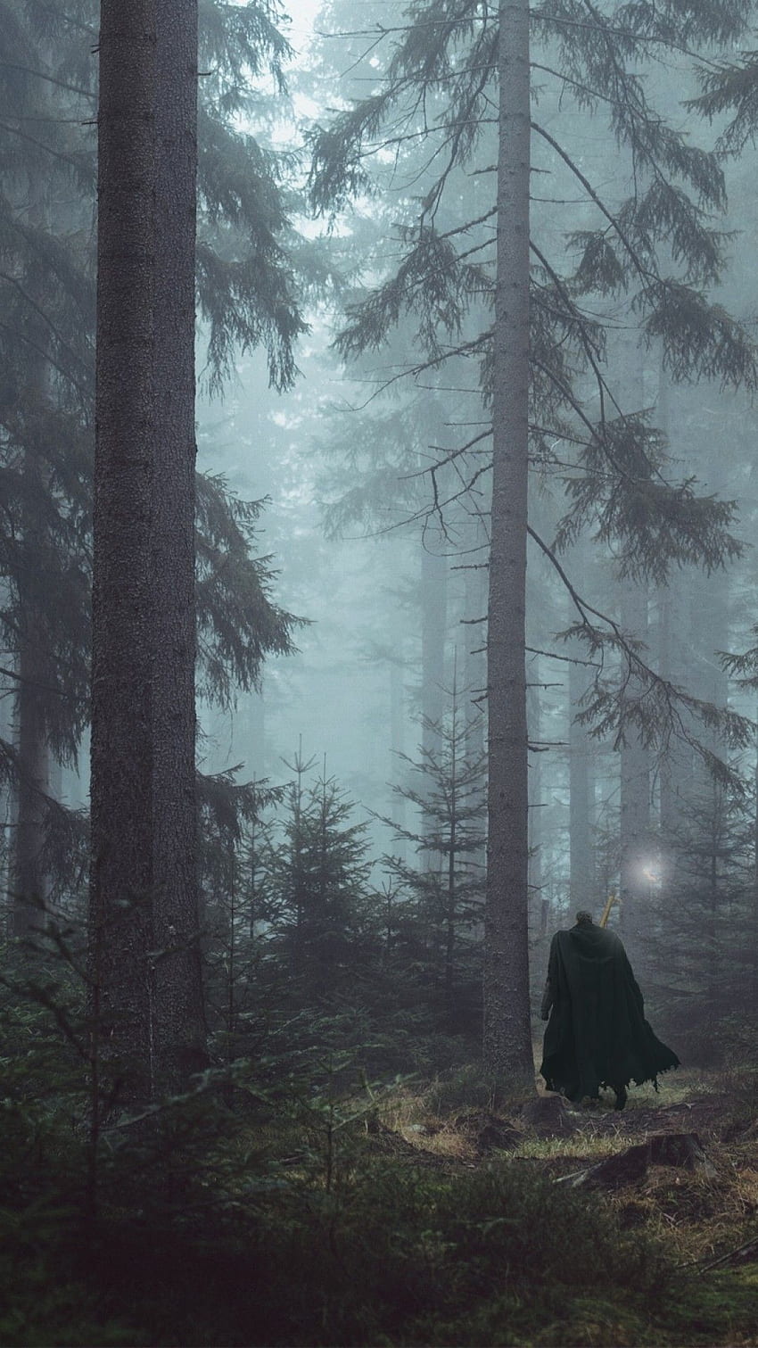 Берсерк, вътрешности, гора, ходене, дървета HD тапет за телефон