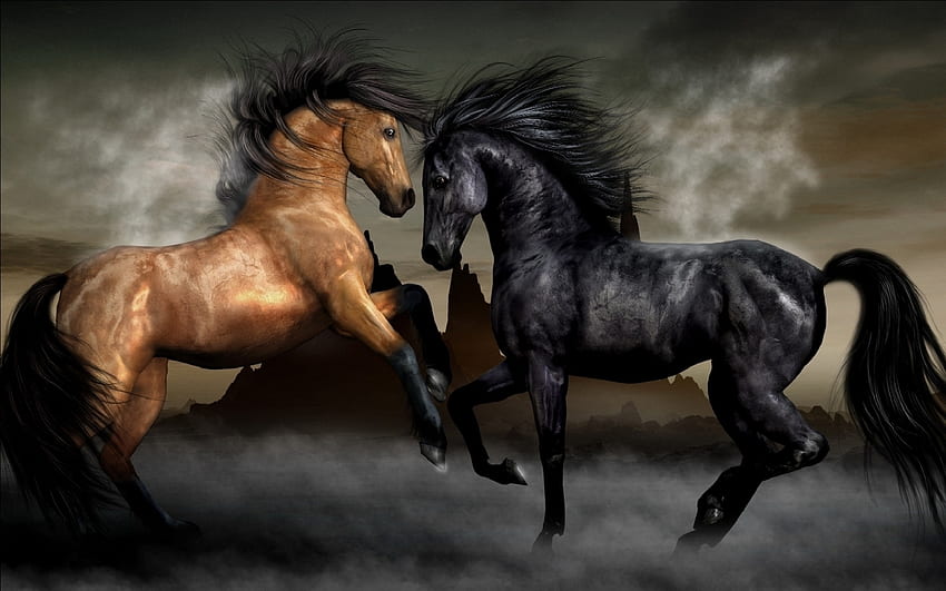 Zwierzęta, Konie Tapeta HD