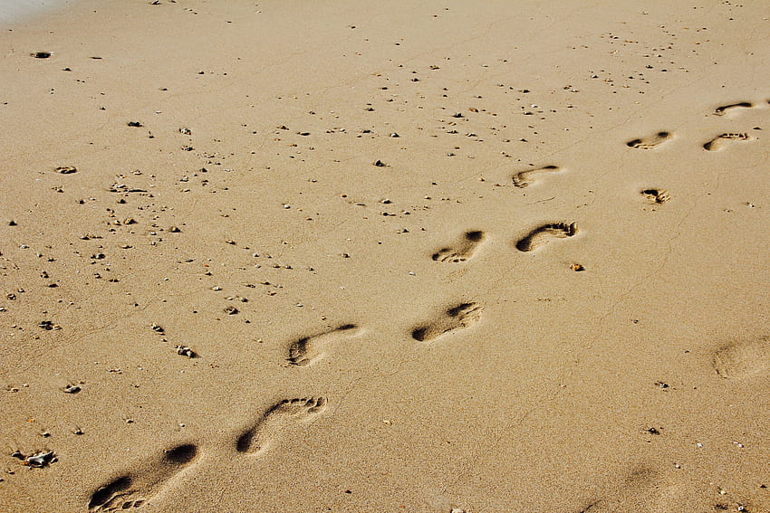 Footprints, Sun, Sand, Paw Print, Footprint - Leave With A Good HD wallpaper