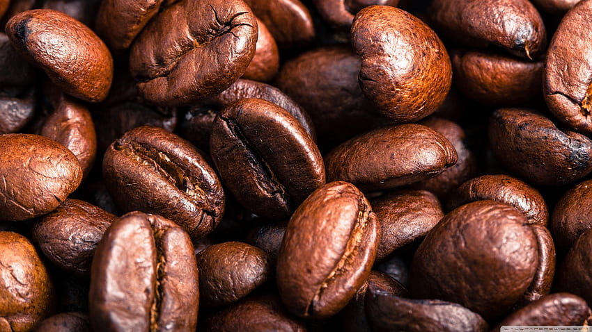 roasted coffee beans, coffee, beans, macro, roasted HD wallpaper