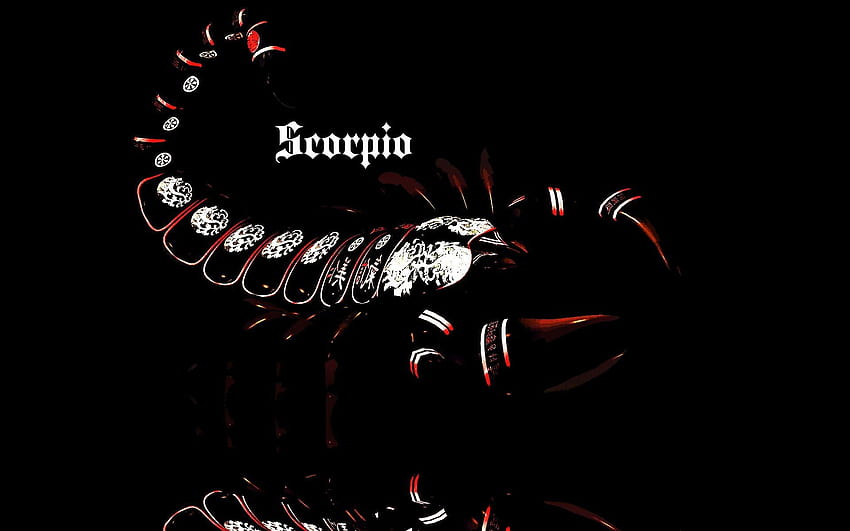 Scorpio Zodiac, Scorpio Flower HD wallpaper