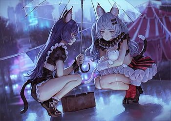 Anime Catgirls, Catgirls, Anime, CG, art HD wallpaper | Pxfuel