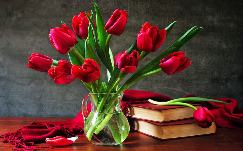 Red Tulip Flower - Rose Flower - - teahub.io HD wallpaper