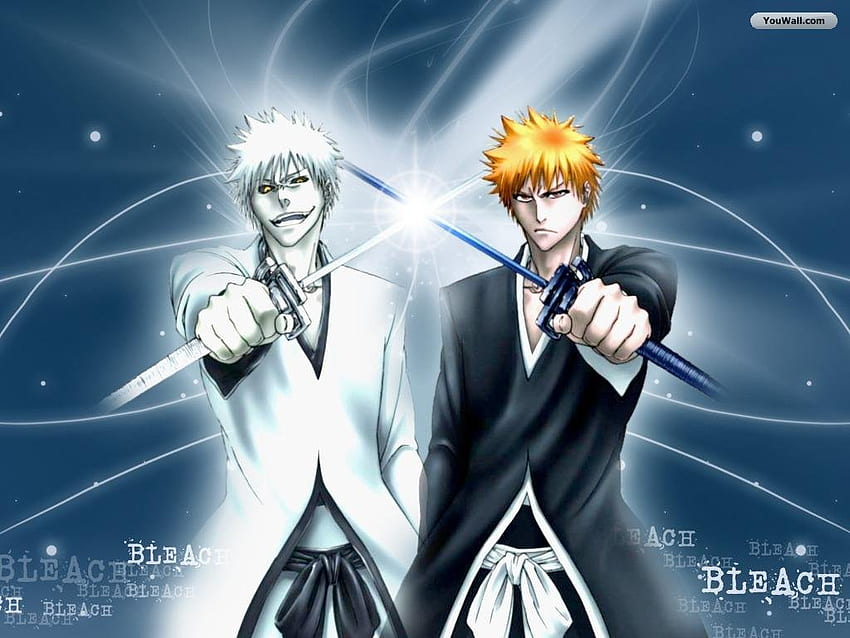 Bleach, Cute Bleach HD wallpaper | Pxfuel