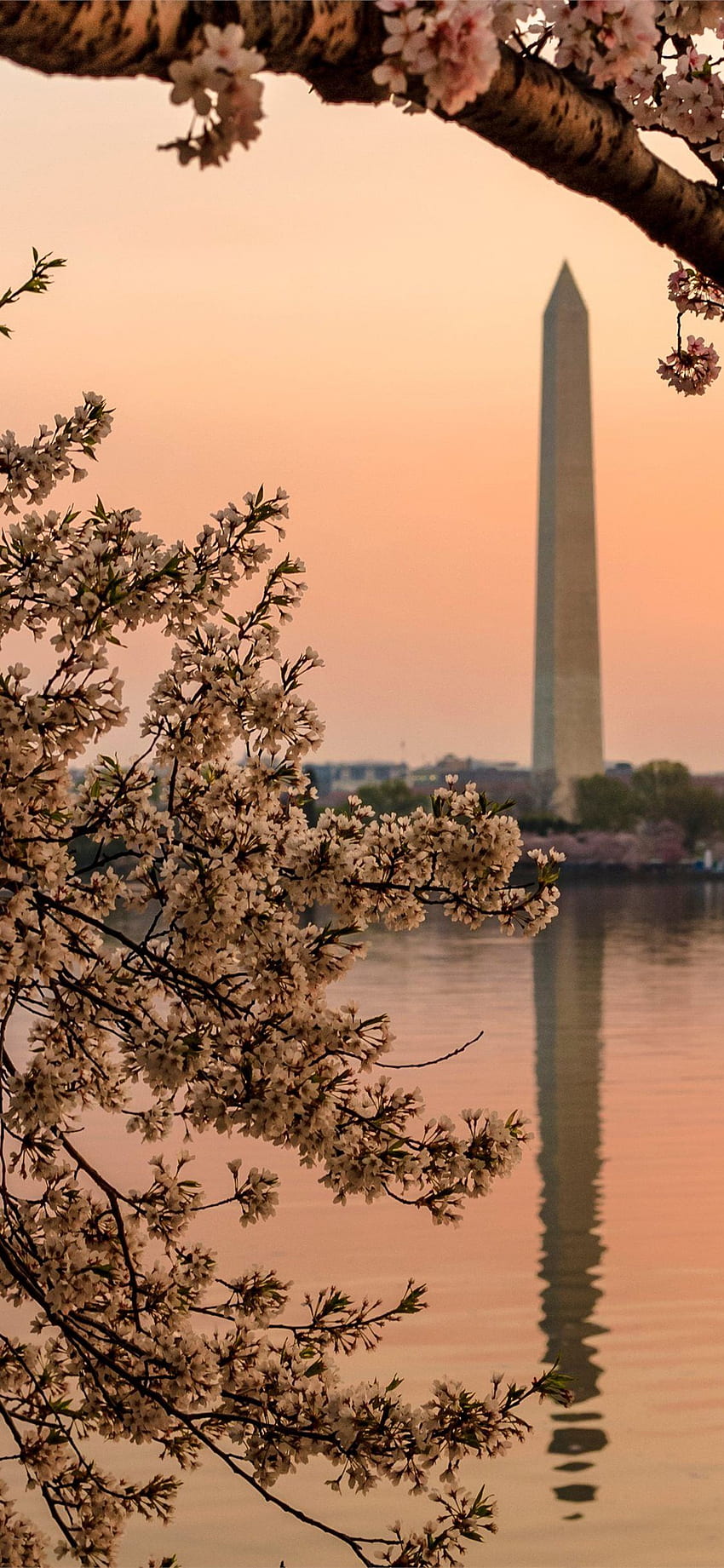 Washington DC iPhone, Washington Monument HD-Handy-Hintergrundbild