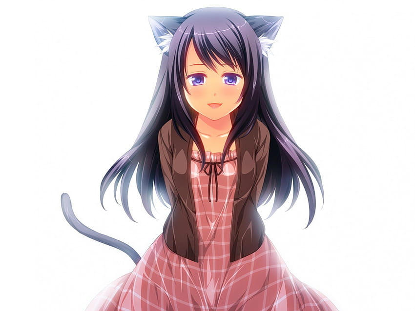 Chiduru Sagawa, ragazza anime, nero, gattino, anime, gatto, otomimi infinito Sfondo HD