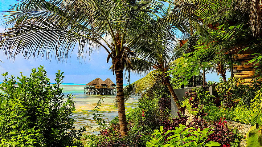 Tropical paradise, sea, palms, bungalow, plants, tropics, exotic, paradise, beautiful, beach, vacation, summer, rest, breeze, hut, sands, ocean HD wallpaper